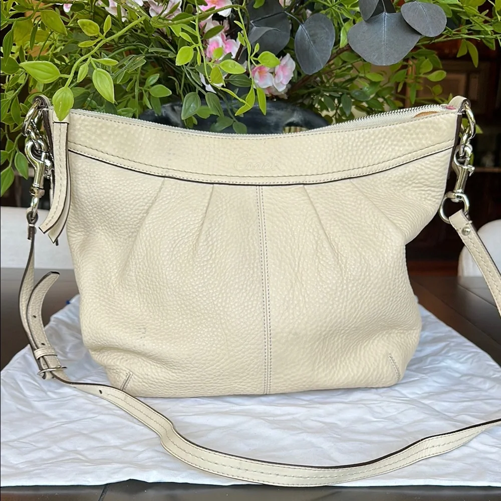 Coach Ashley pleated hobo bag.